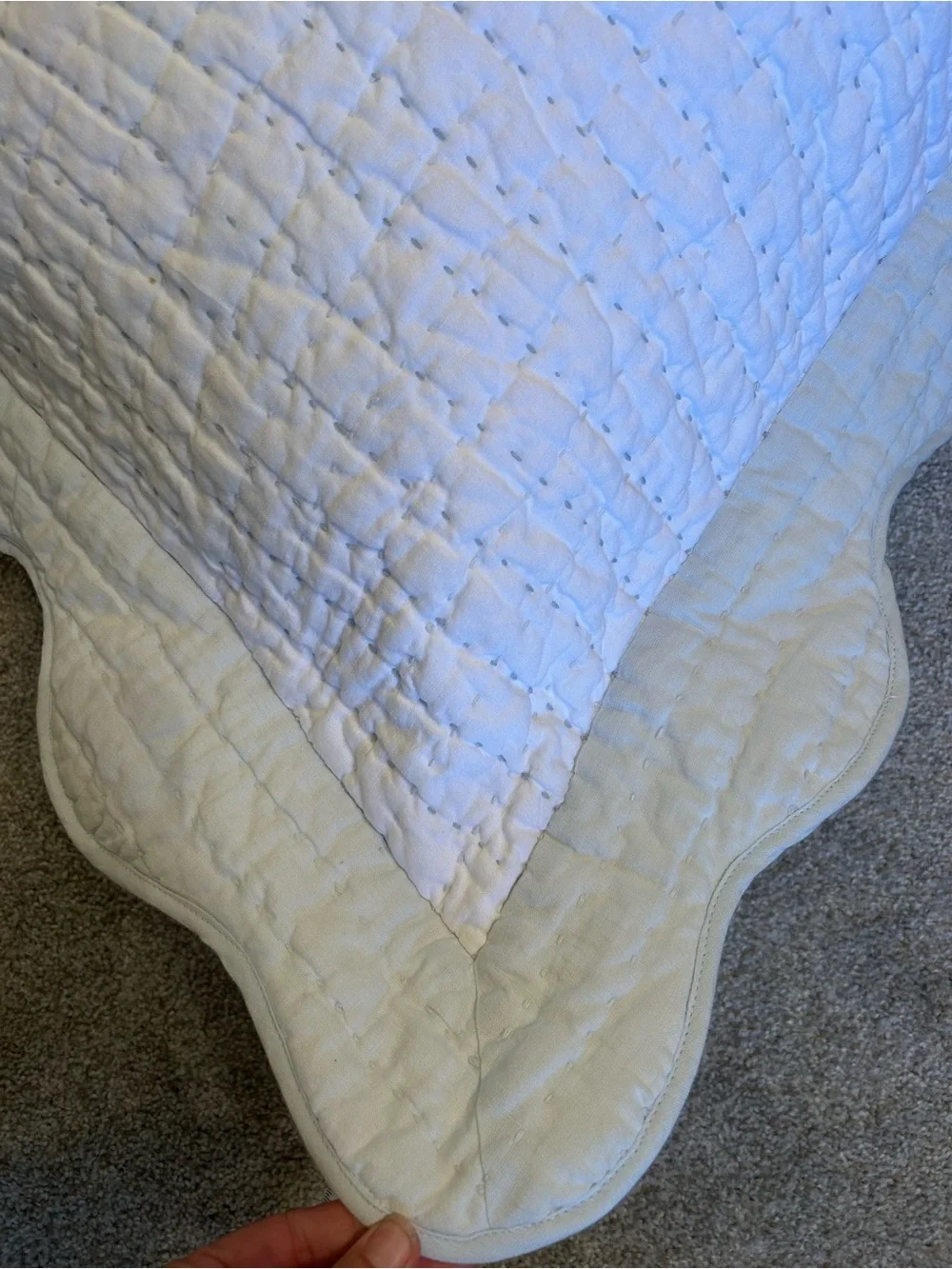 Serena and Lily Baywood Quilted Euro Sham